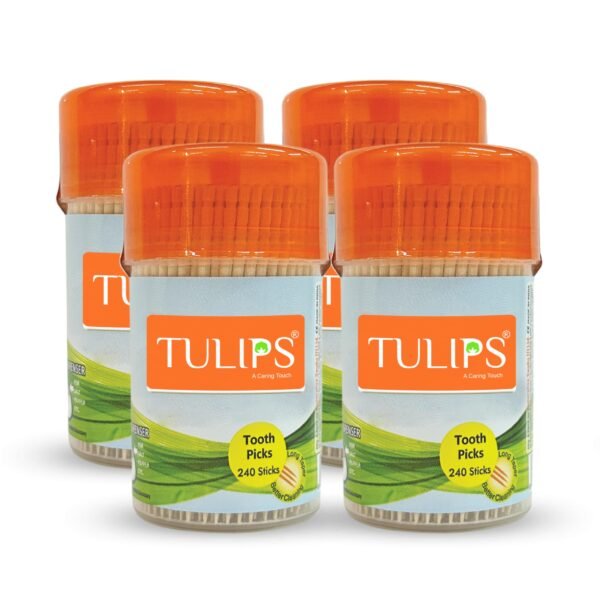 Tulips Wooden Toothpicks 240 Sticks (Pack of 4)