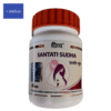 Divya Santati Sudha