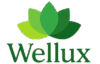 wellux_logo