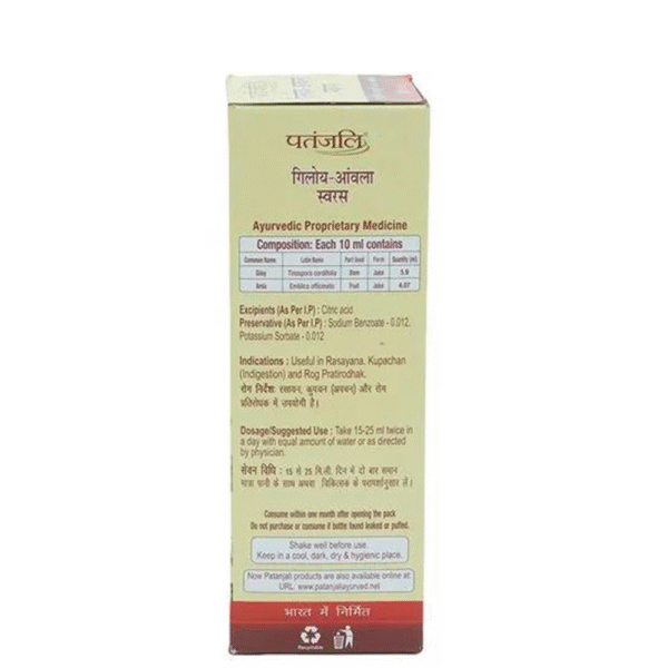 Patanjali Giloy Amla Juice - Image 2